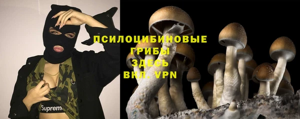 ALPHA-PVP Алексин